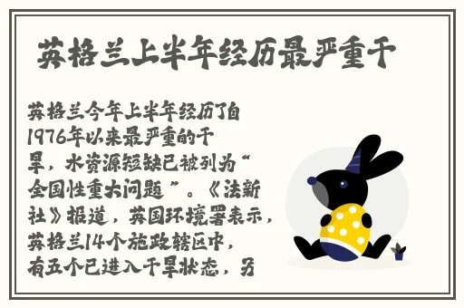 电影打扑克视频